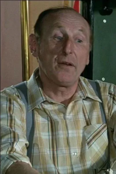 Dans le film "Le cerveau" de Gérard Oury, quel acteur partage l'affiche avec Bourvil ?