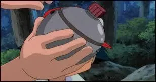 Sur cette image c'est une Pokéball ...