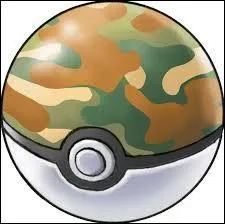 Cette balle permet de capturer des Pokémon ...