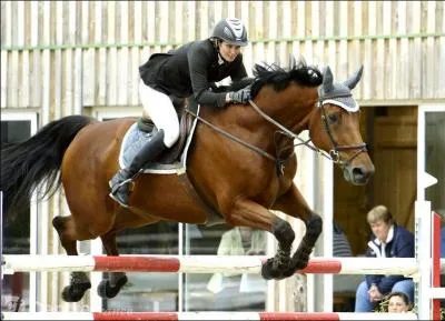 Quel est le dernier fran&ccedil;ais a avoir eu la m&eacute;daille d'or olympique en saut d'obstacles individuel en &eacute;quitation ?