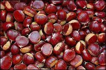 Lequel est comestible ?