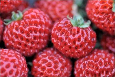 Qu'est-ce que c'est ?