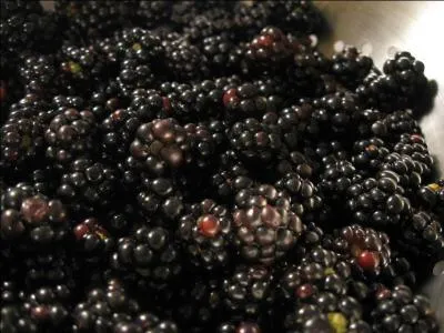 Qu'est-ce que c'est ?