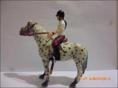 Quelle est la robe de cette jument ?