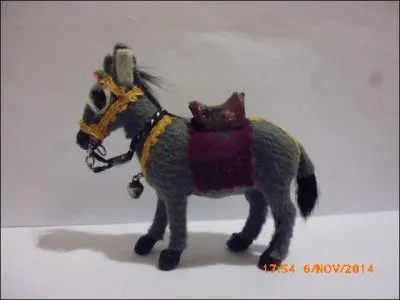 Cette petite &acirc;nesse est :