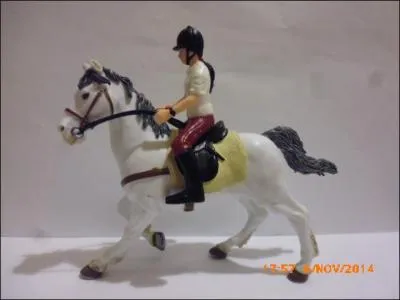 Quelle est la robe de cet &eacute;talon ?