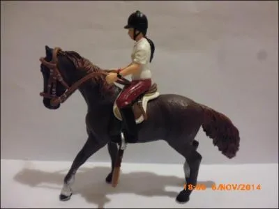 Quelle est la robe de cette jument pur-sang ?