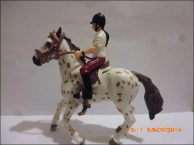 Cette jument appaloosa est :