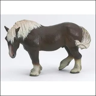 Quelle est la robe de ce cheval de trait ?