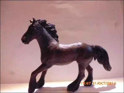 Quelle est la robe de cette jument ?