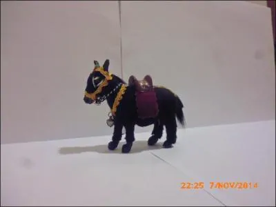 Ce petit &acirc;ne est :