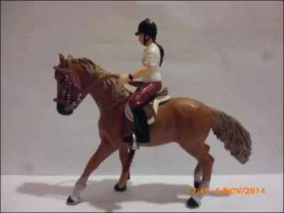 Cette jument pur-sang anglais est :