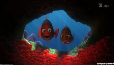 Dans le monde de Nemo (voir photo), si tous les ufs avaient éclos, Nemo aurait-il eu des surs si l'on considère que l'on n'est pas dans un dessin animé mais dans la réalité ?