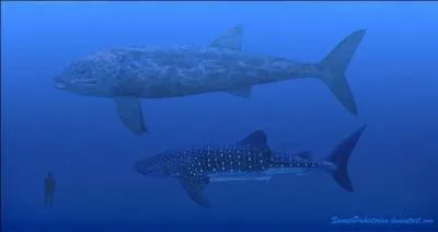 Connaissez-vous le nom du plus long des Ostéichtyens existants ?