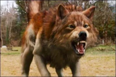 Qui a joué dans "Les loups-garous de l'espace" ?