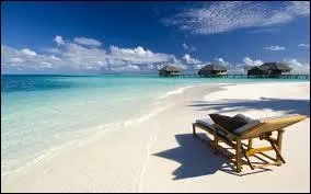 Les chats mangent les oiseaux. Les oiseaux mangent quotidiennement des graines. Les graines peuvent-elles finir dans l'estomac des chats ?