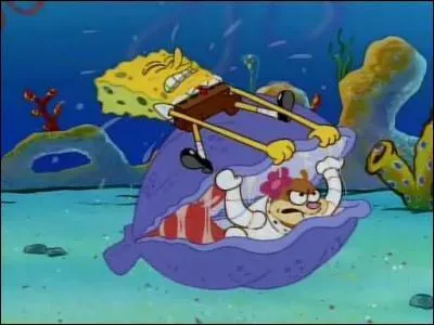 Quel est le sport qu'aiment pratiquer Sandy et Bob ?