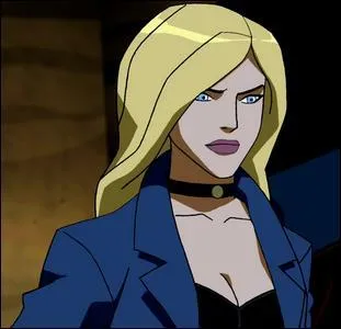 Qui est marier avec Black Canary ?