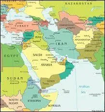 Quel est le pays qui n'est pas à majorité chiite ?