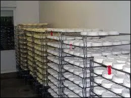 Quelle est la plus étrange des propositions que reçut l'exploitation en termes de reprise ?