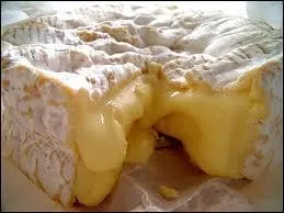 L'aspect légèrement duveteux de la croûte du camembert est dû -----.