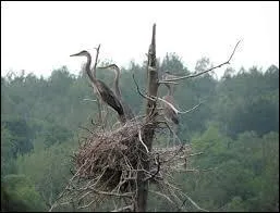 Comment s'appelle l'exploitation où se fabrique le fromage de production fermière à Camembert ?