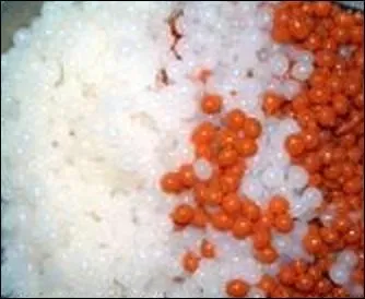 Bon appétit ! Que mangerez-vous là ?