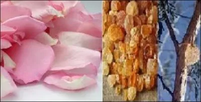 Dans quoi ces pétales de roses seront-ils trempés avant de les cristalliser ?