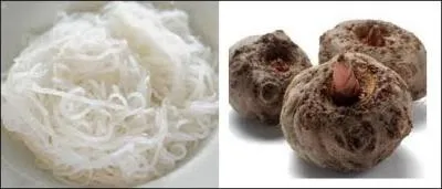 Vous vous demandez parfois ce que sont ces curieuses nouilles que l'on vous conseille pour un régime hypo-calorique. Quel est le rhizome à partir duquel on les fabrique ?