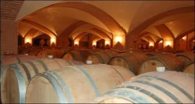 Qu'est-ce qui est autorisé dans les vins blancs, depuis 2008 ?