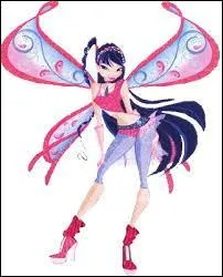 Quelle est cette transformation ?