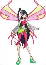 Quelle est cette transformation ?