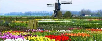 Une émission au goût batave !