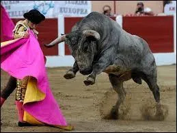 Francis Cabrel s'oppose à une pratique liée aux taureaux dans une chanson appelée :