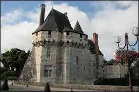 Je vous présente le château des Pont-de-Cé. Ville des Pays-de-la-Loire, elle se situe dans le département ...