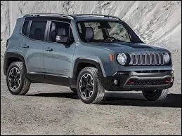 Ce petit 4X4 est un ...