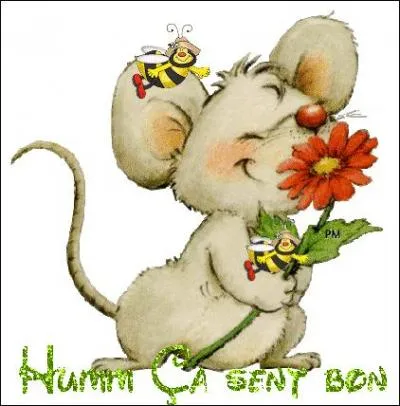 Poème à compléter : "Février a mauvaise réputation. On le dit, froid, pluvieux, venteux et pourtant il est bien besogneux puisqu'il prépare..." !