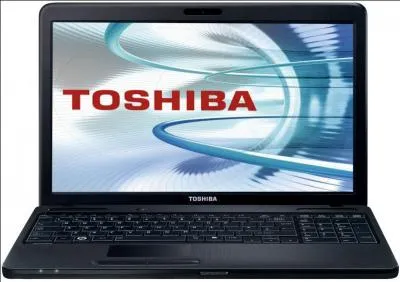 - J'ai un problème avec Windows ... - Qu'avez-vous sur l'écran ? - euh... un pot de fleur. - Non, je veux dire qu'est-ce qui est écrit ? - Ah d'accord... euh... Toshiba !