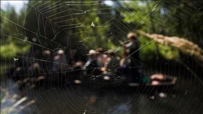 Dans quel domaine utilise-t-on d'ores et déjà la protéine contenue dans le fil de soie d'araignée ?
