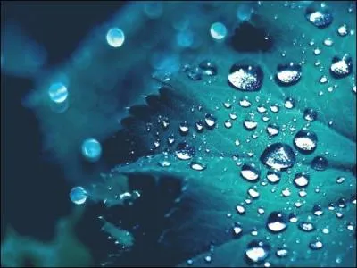 "Agua sin gas" signifie :