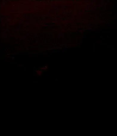 Pour en finir, voici un volatile que l'on distingue à peine sur l'image ; tout de même, est-il bien là, ce/cette...