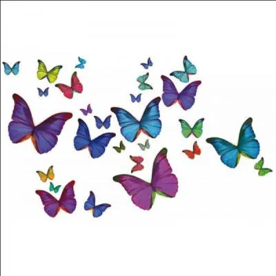 "Buf". Synonymes familiers du nouveau mot : gadoue, bouillabaisse.