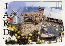 Située sur la Côte de Lumière, Jard-sur-Mer est une ville de la région ...