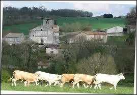 Commune Charentaise, Saint-Quentin-de-Chalais se situe en région ...
