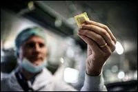 Je perçois une faille. C'est le moment d'en finir. Mais, qu'allons-nous faire au juste pour en finir ?