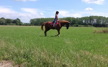 Quiz Galop 2