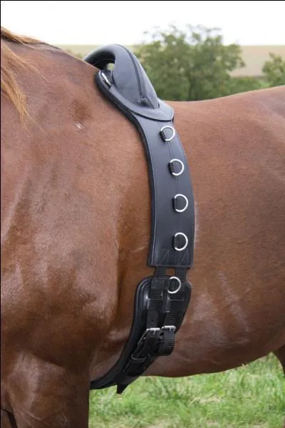 Pour quoi suis-je utilisé ?