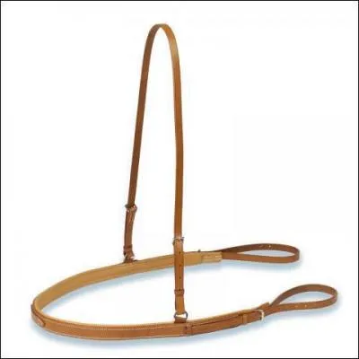 À quoi suis-je destiné ?