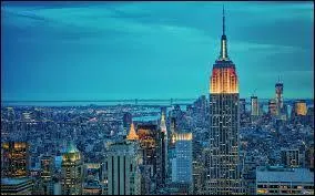 King Kong arrive au cinéma et escalade l'Empire State Building. Quelle est l'espèce de cet animal ?