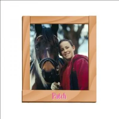 Parmi ces poneys, lequel est de robe pie noir ?